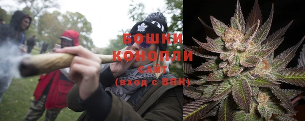 шишки Нефтекумск