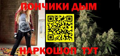 крисы Абакан