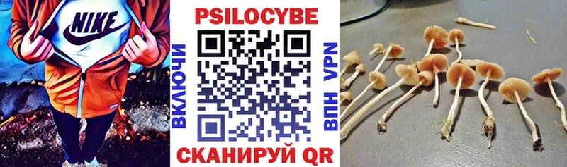 Псилоцибиновые грибы MAGIC MUSHROOMS Энгельс